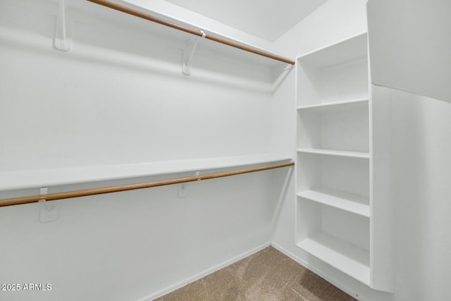 5733 E Jaeger St, Mesa, AZ 85205 - walk in closet featuring carpet
