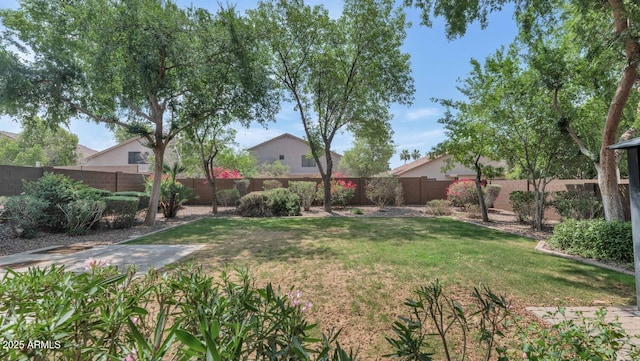 5733 E Jaeger St, Mesa, AZ 85205 - view of fenced backyard