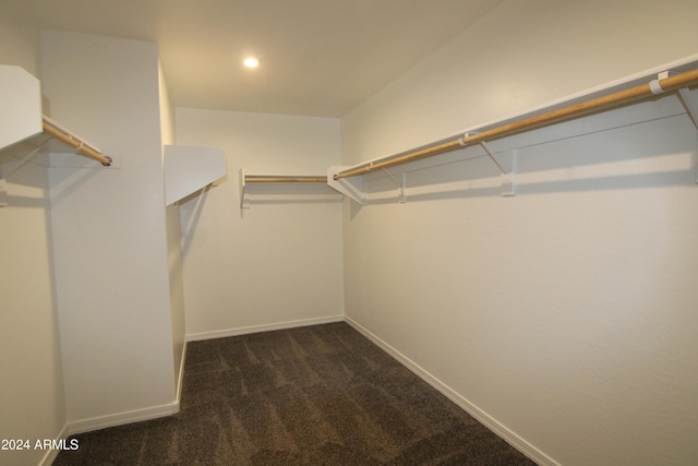 18813 W Solano Dr, Litchfield Park, AZ 85340 - spacious closet featuring dark carpet