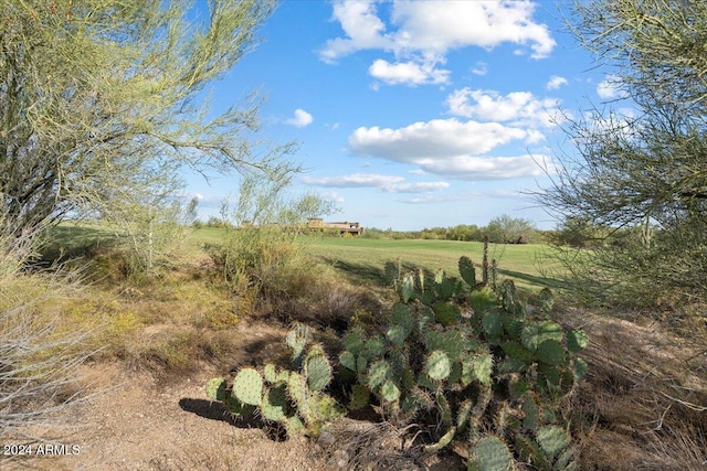 view of landscape featuring a rural view