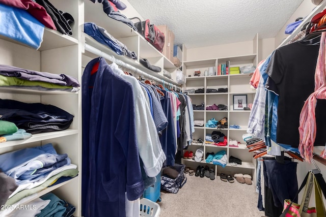 walk in closet featuring carpet flooring