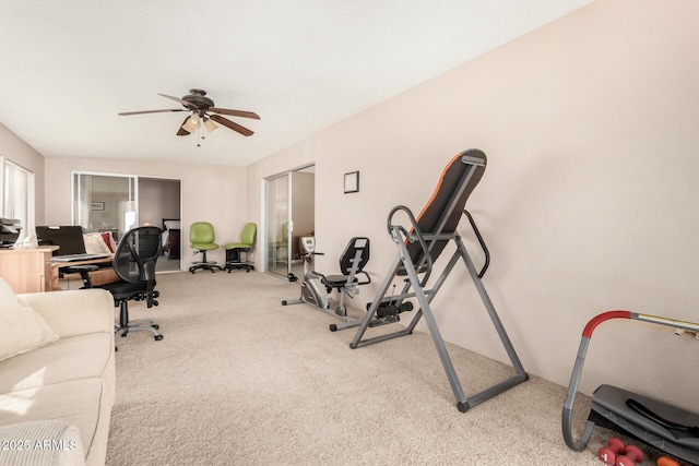 workout area with carpet and a ceiling fan