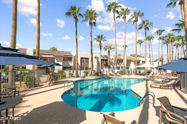 view of pool featuring a patio