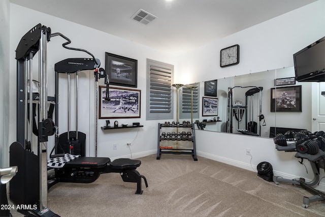 exercise area featuring carpet flooring