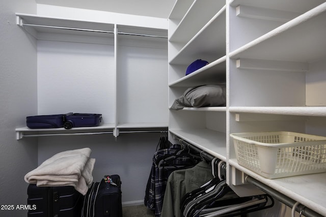 view of spacious closet