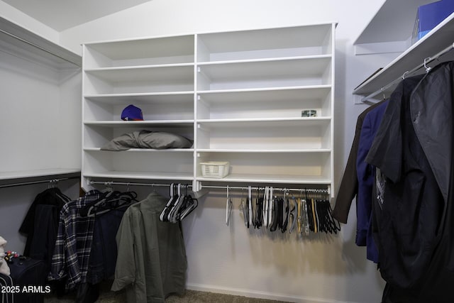 spacious closet with carpet flooring