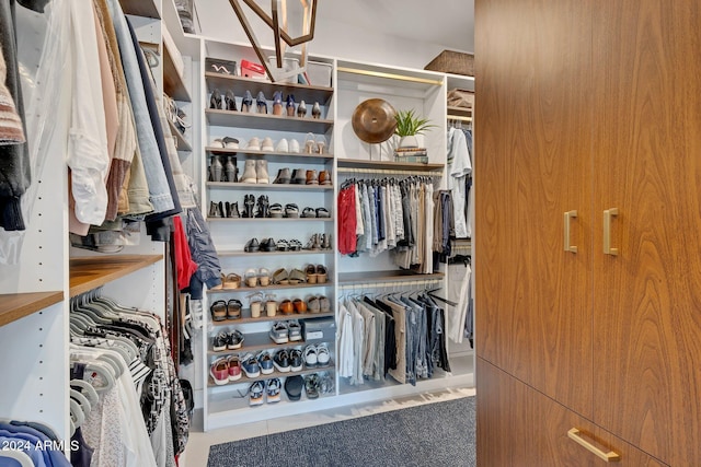 view of walk in closet