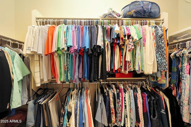 view of spacious closet