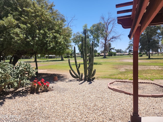 9939 W Ironwood Dr, Sun City, AZ 85351 - view of grassy yard