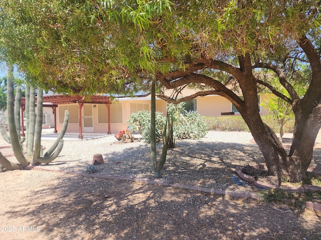 9939 W Ironwood Dr, Sun City, AZ 85351 - view of yard