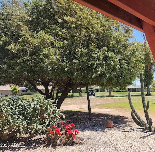 9939 W Ironwood Dr, Sun City, AZ 85351 - view of yard