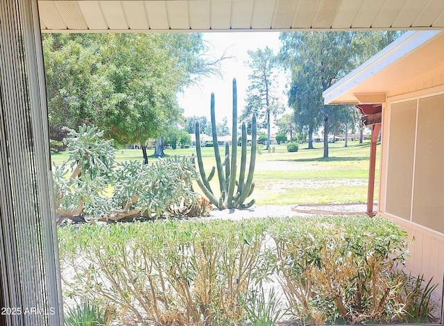 9939 W Ironwood Dr, Sun City, AZ 85351 - view of green lawn