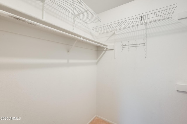 15608 N 57th Dr, Glendale, AZ 85306 - spacious closet featuring carpet flooring