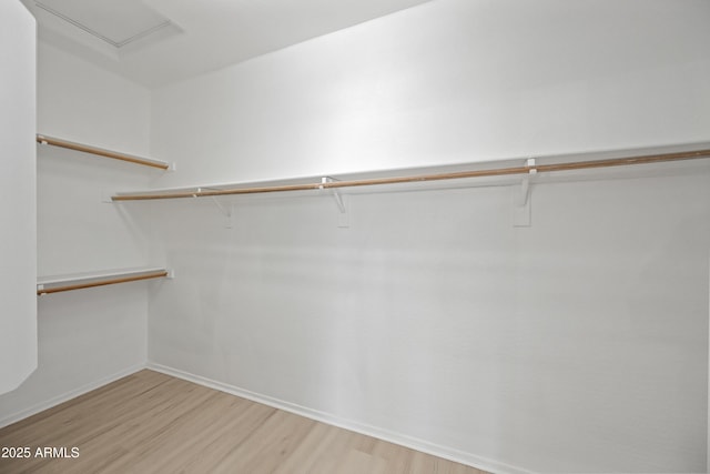 walk in closet featuring hardwood / wood-style floors