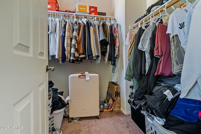 spacious closet featuring carpet flooring