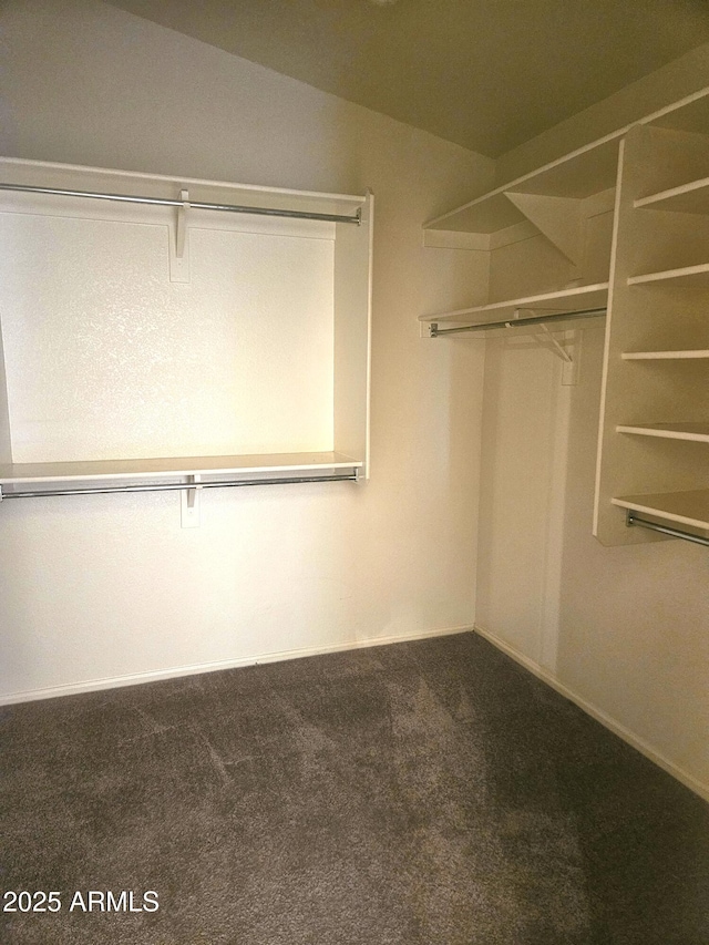 walk in closet featuring carpet