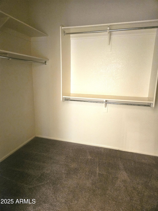 walk in closet with carpet flooring