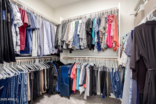 2030 W Whisper Rock Trl, Phoenix, AZ 85085 - walk in closet featuring carpet floors
