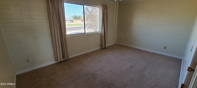 spare room with carpet flooring