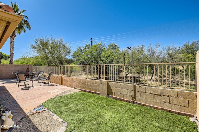 view of yard featuring a fenced backyard and a patio area