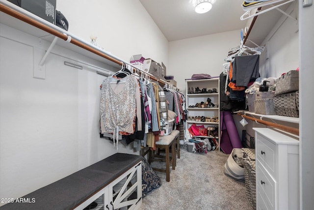 spacious closet with light carpet