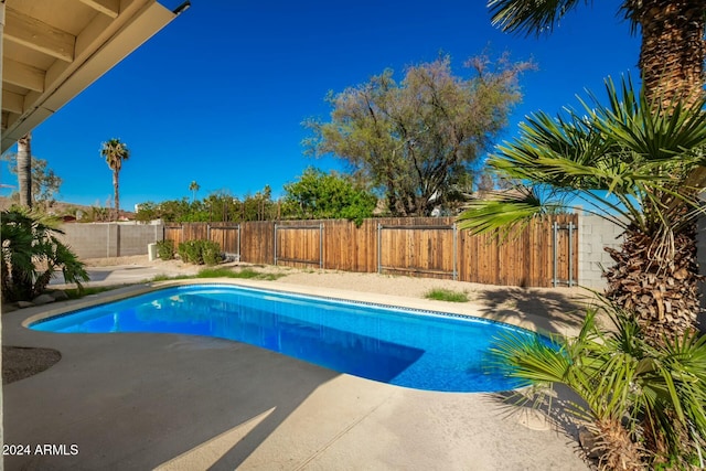 view of swimming pool