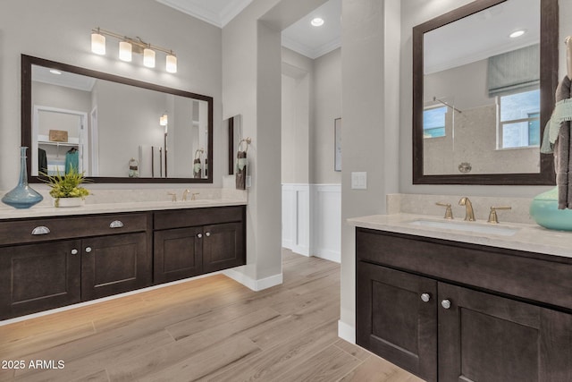 bathroom featuring crown molding, vanity, and wood finished floors