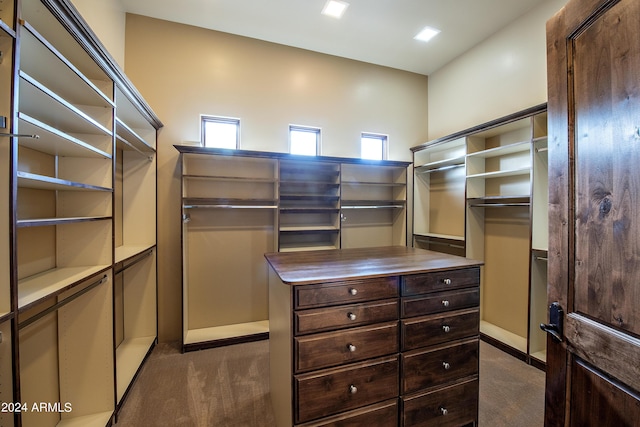 spacious closet with dark colored carpet