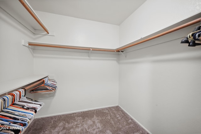 walk in closet featuring carpet flooring