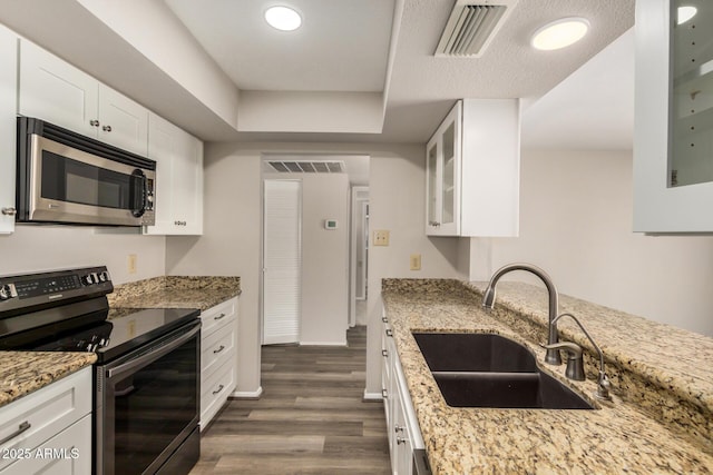 kitchen featuring stainless steel appliances, a sink, dark wood-type flooring, light stone counters, and glass insert cabinets