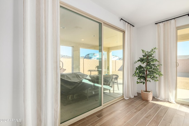 entryway with hardwood / wood-style floors