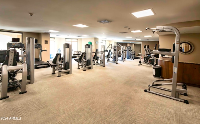 workout area with light colored carpet and a wealth of natural light