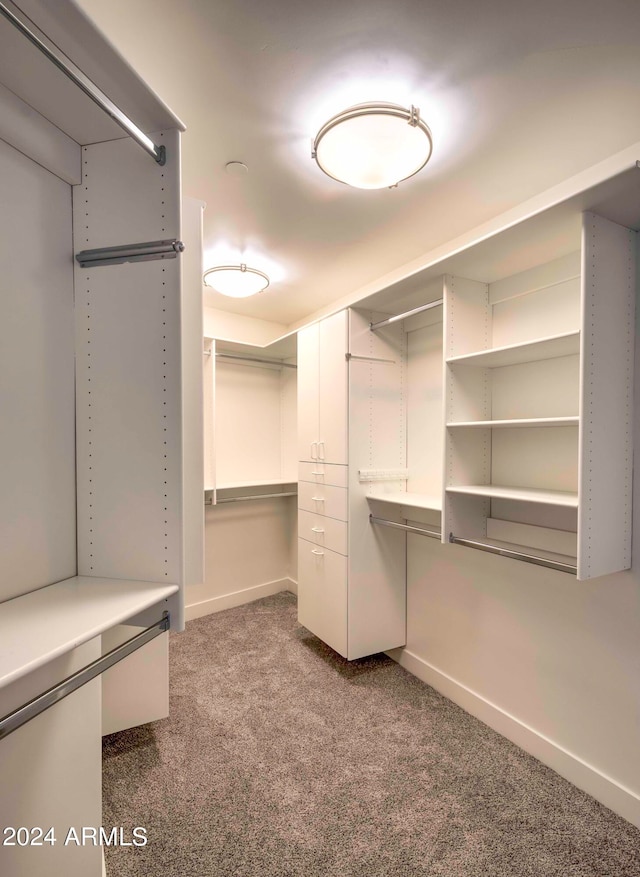 spacious closet with dark colored carpet