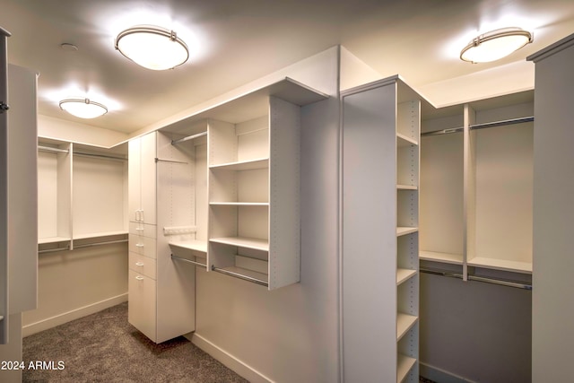 walk in closet featuring dark colored carpet