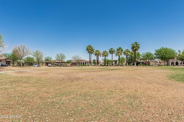 3109 N Black Rock Rd, Buckeye, AZ 85396 - view of green lawn
