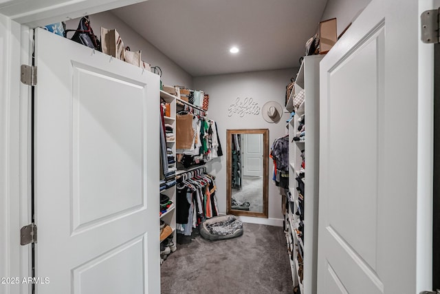 spacious closet featuring carpet flooring