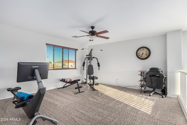 workout area featuring ceiling fan and carpet