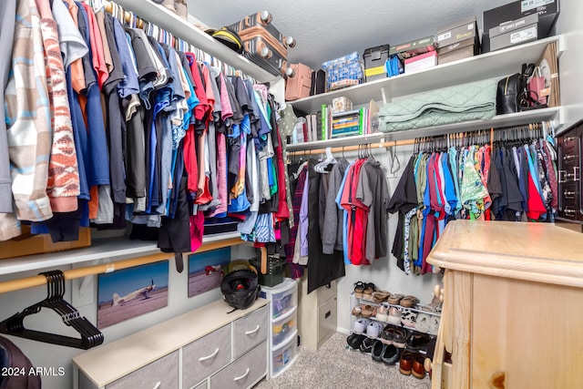 spacious closet featuring carpet floors