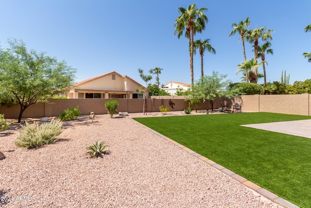 view of yard featuring a patio