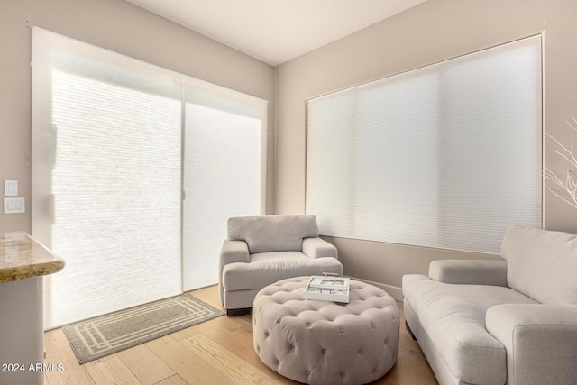 living area featuring light hardwood / wood-style floors