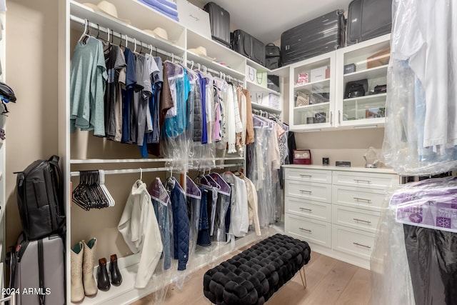 spacious closet featuring light hardwood / wood-style floors