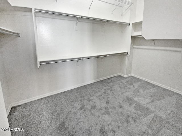 walk in closet with carpet flooring