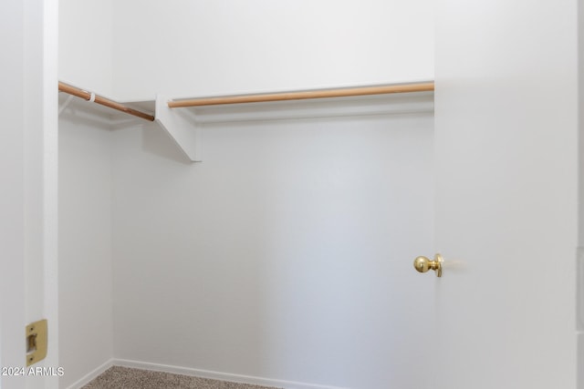 spacious closet featuring carpet floors