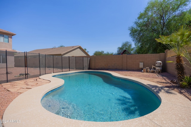 view of pool featuring a patio