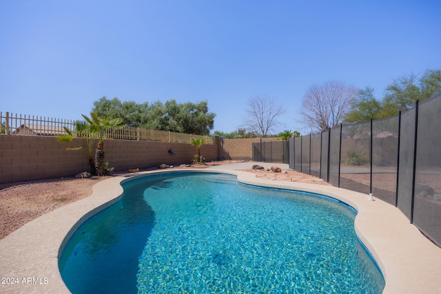 view of swimming pool