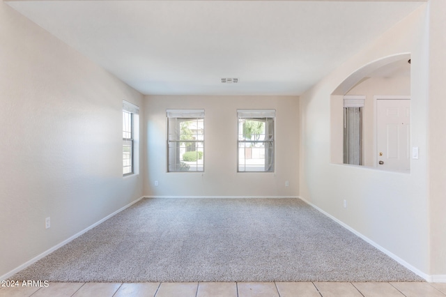 carpeted empty room with a healthy amount of sunlight