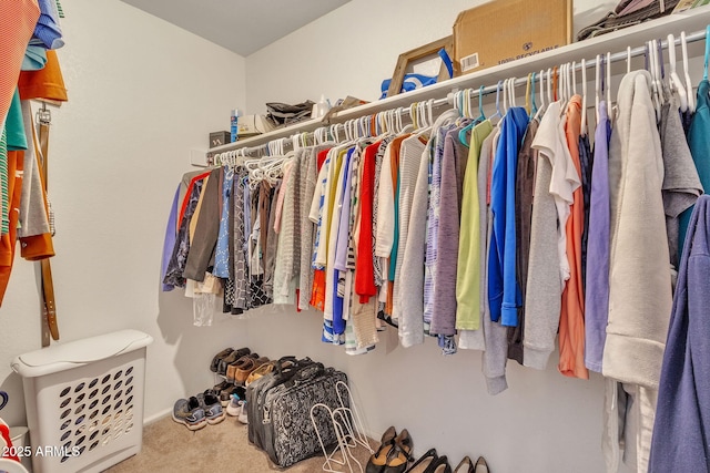 walk in closet with carpet flooring