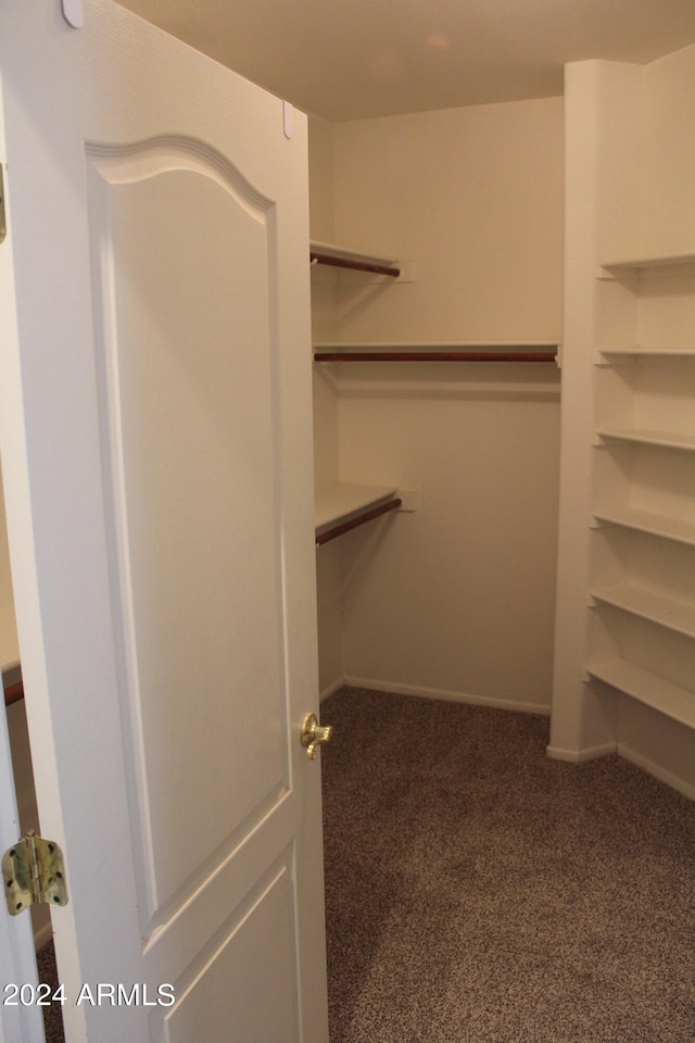 spacious closet featuring dark colored carpet