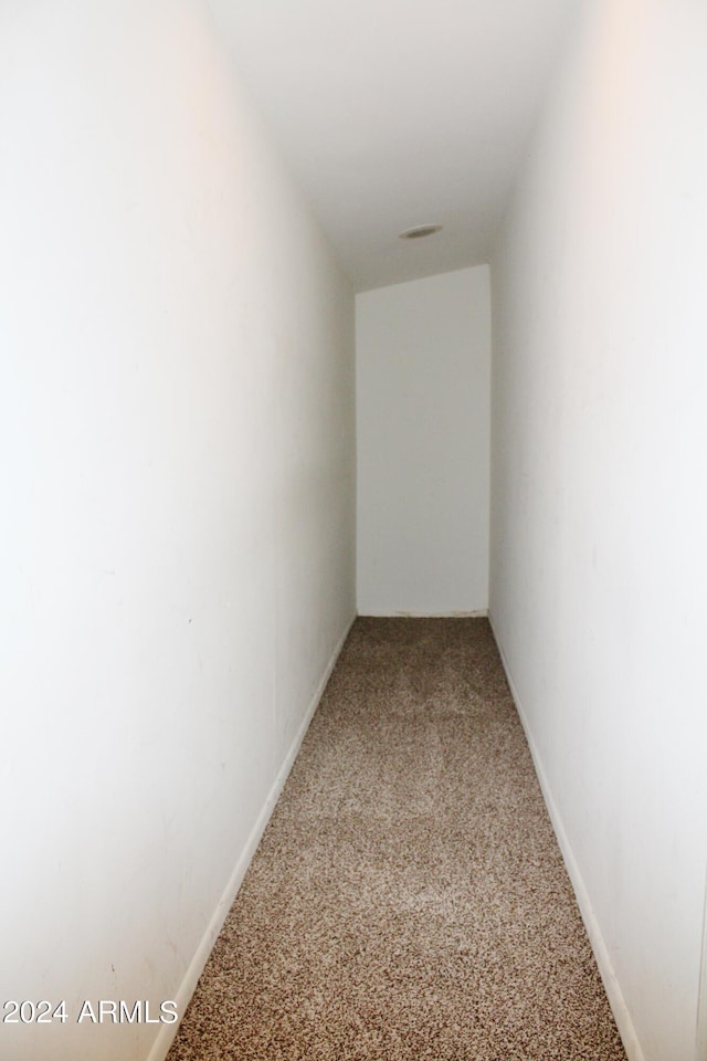 spare room with carpet flooring