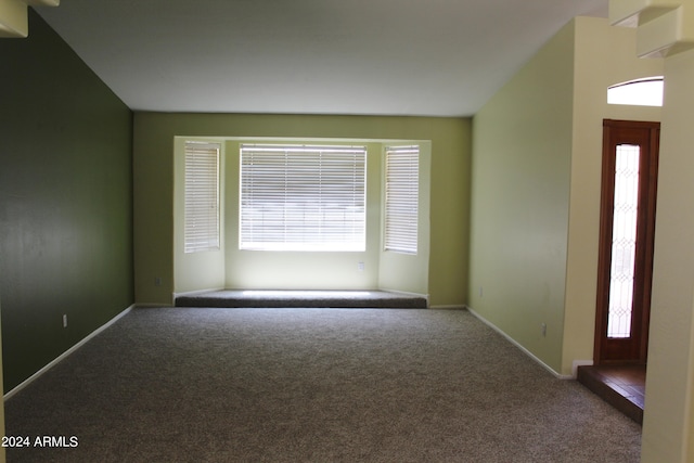 carpeted spare room with plenty of natural light